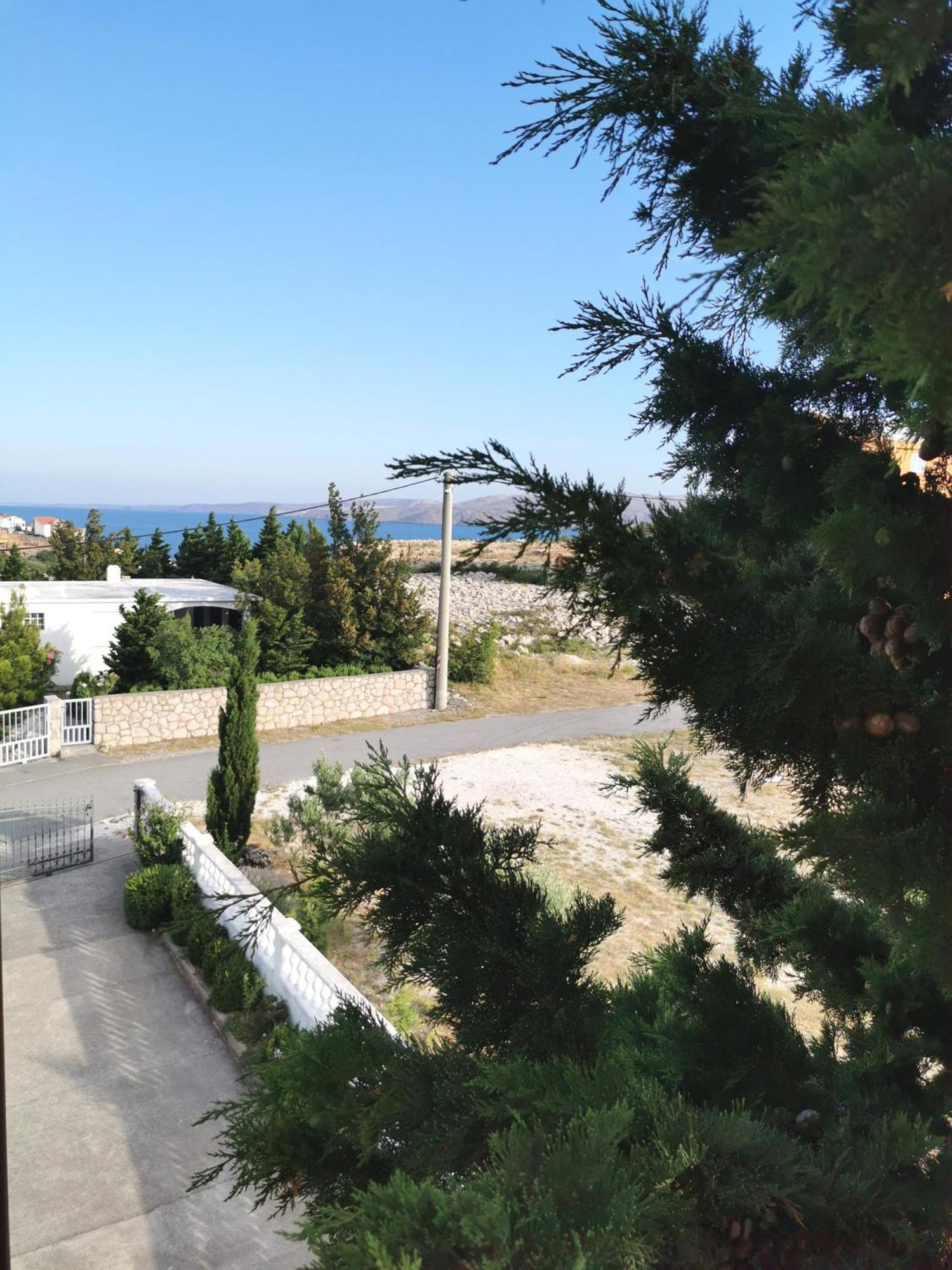 Apartmani Gabi Cesarica Dış mekan fotoğraf