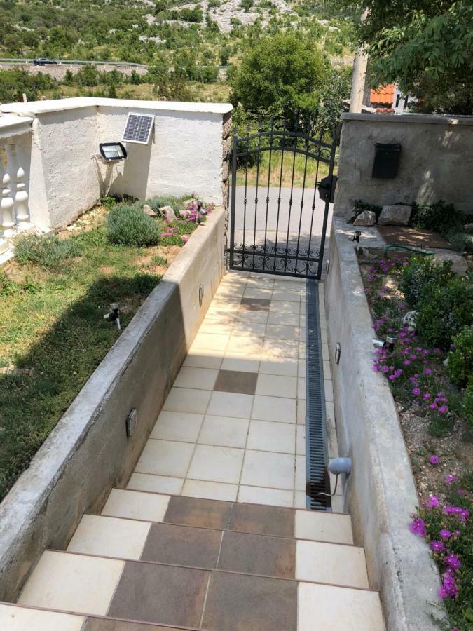 Apartmani Gabi Cesarica Dış mekan fotoğraf