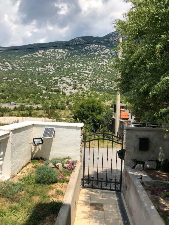 Apartmani Gabi Cesarica Dış mekan fotoğraf