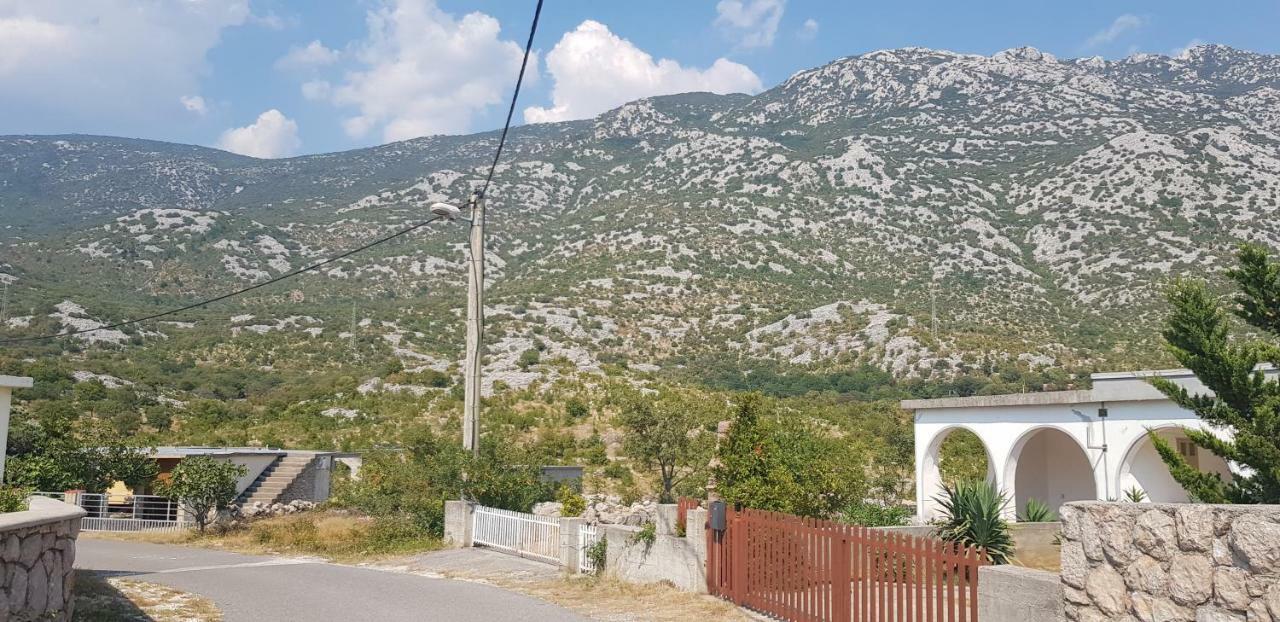 Apartmani Gabi Cesarica Dış mekan fotoğraf